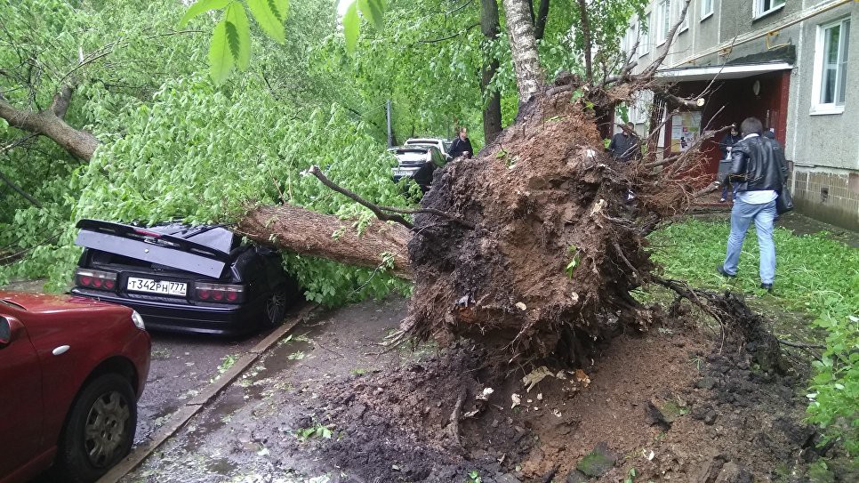 Ураган в Москве уносит жизни людей, поврежден даже Кремль. Хроника