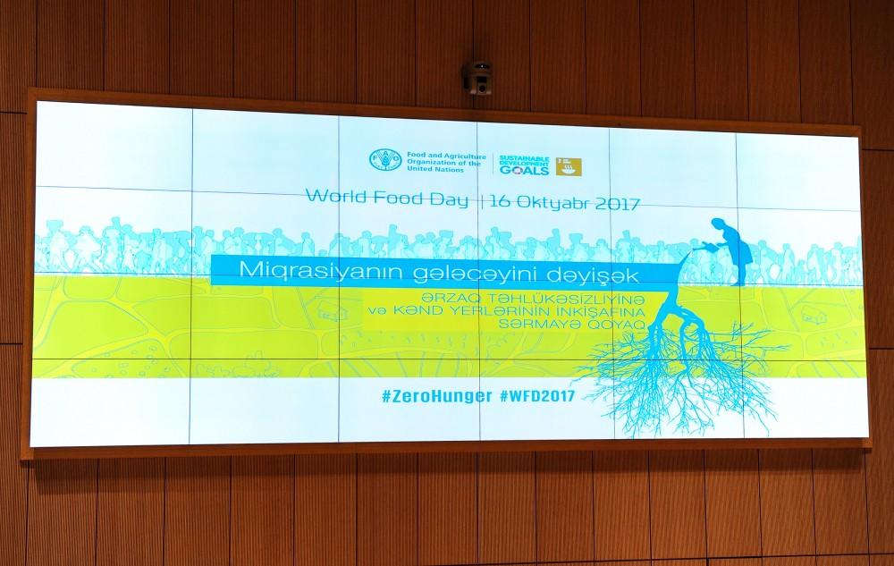 Лейла Алиева выступила в университете ADA