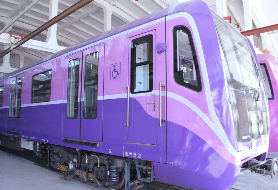 В поездах столичного метро появятся места для инвалидных колясок 2 В поездах столичного метро появятся места для инвалидных колясок