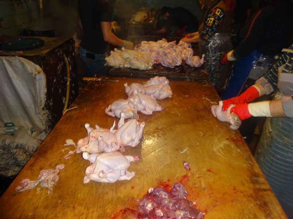 В Баку обнаружен еще один подпольный куриный цех 2 В Баку обнаружен еще один подпольный куриный цех