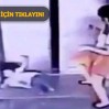 attigi-tekmeyle-kizinin-hayatini-kurtardi-8460917