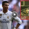 ronaldo-dan-sike-suclamasi-9633821_6366_ov