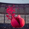 Eurogames