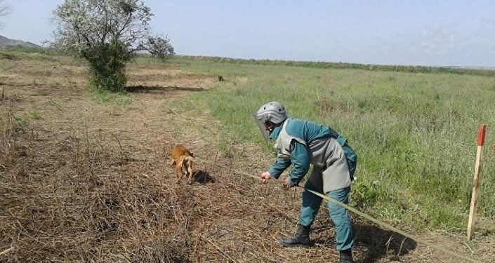 В Джоджуг Марджанлы обнаружена противотанковая мина