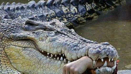 В Зимбабве священника, возомнившего себя Иисусом, съели крокодилы