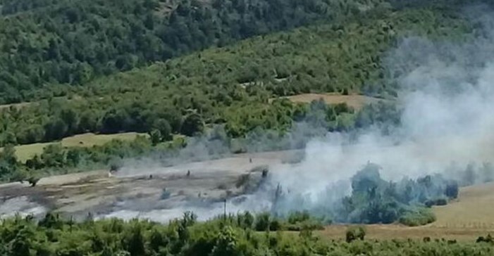 В Гирканском национальном парке произошел пожар