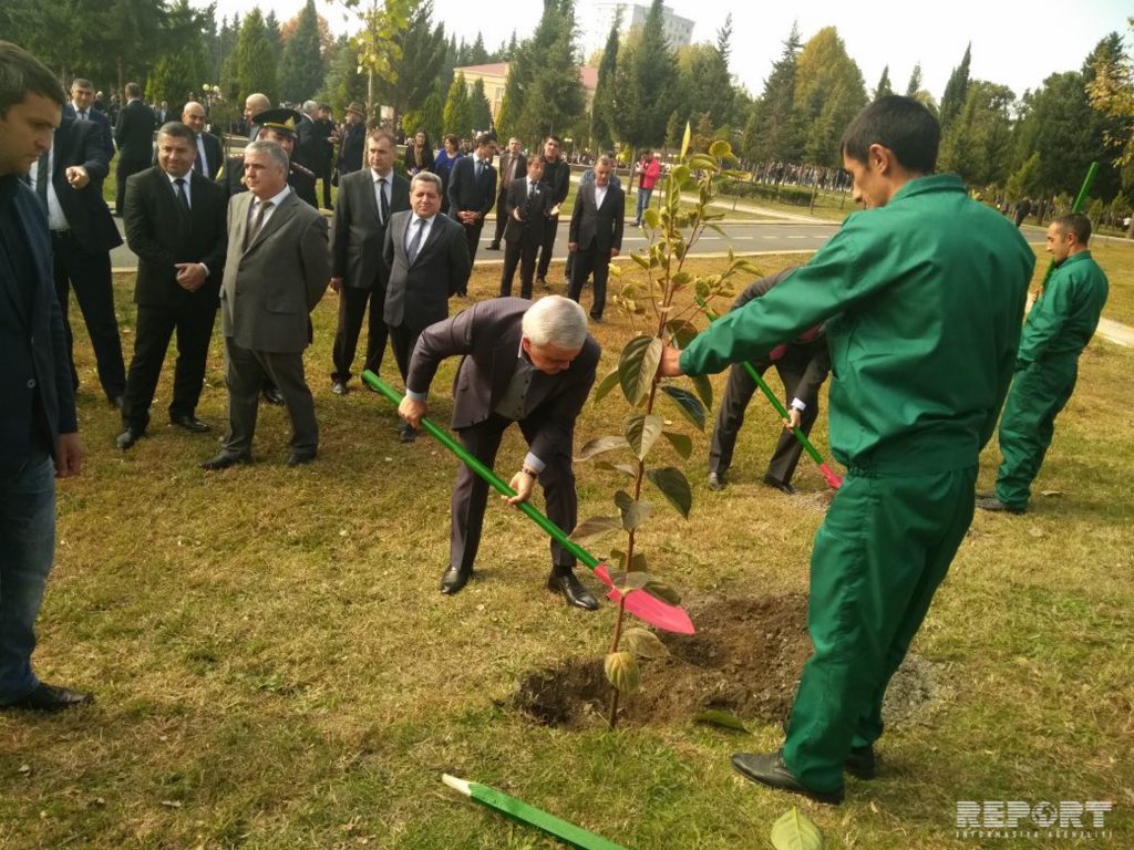 В Балакяне проходит "Международный фестиваль хурмы"