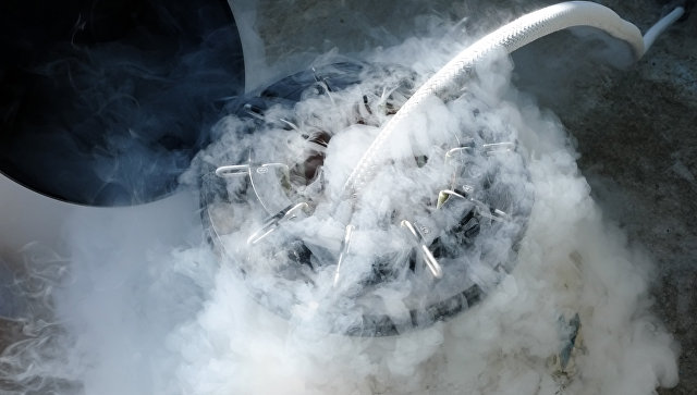 Многодетную семью из США заморозят в жидком азоте