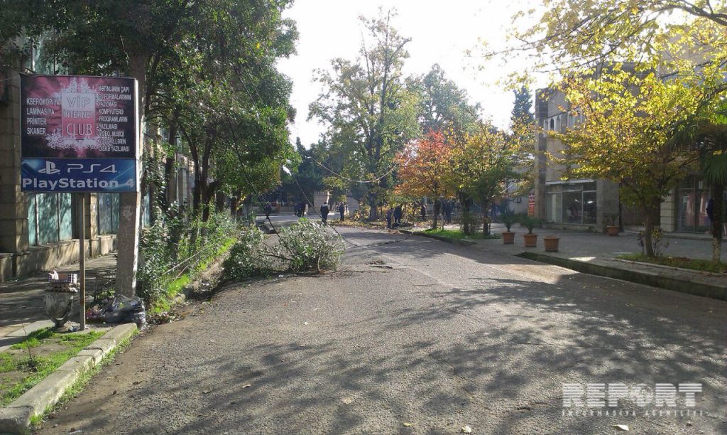 В Лянкяране повалившееся дерево оставило без света половину города