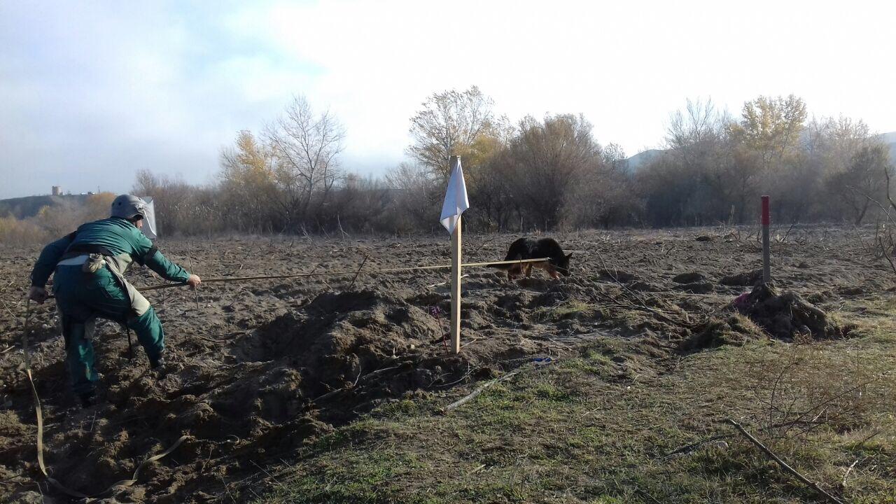В Джоджуг Марджанлы саперы очистили территорию в 13000 кв.м.