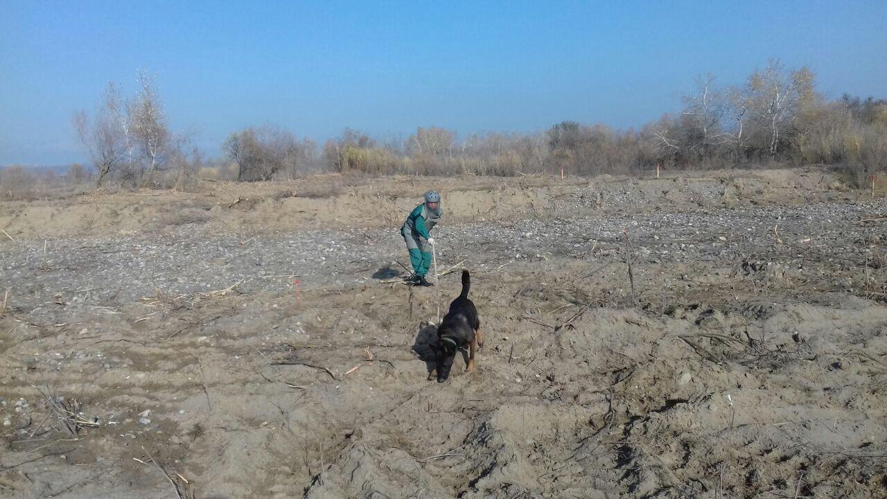 В Джоджуг Марджанлы саперы очистили территорию в 13000 кв.м.