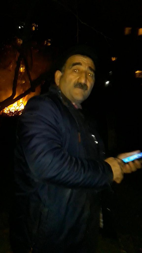 В Баку мужчина оштрафован за незаконную вырубку деревьев