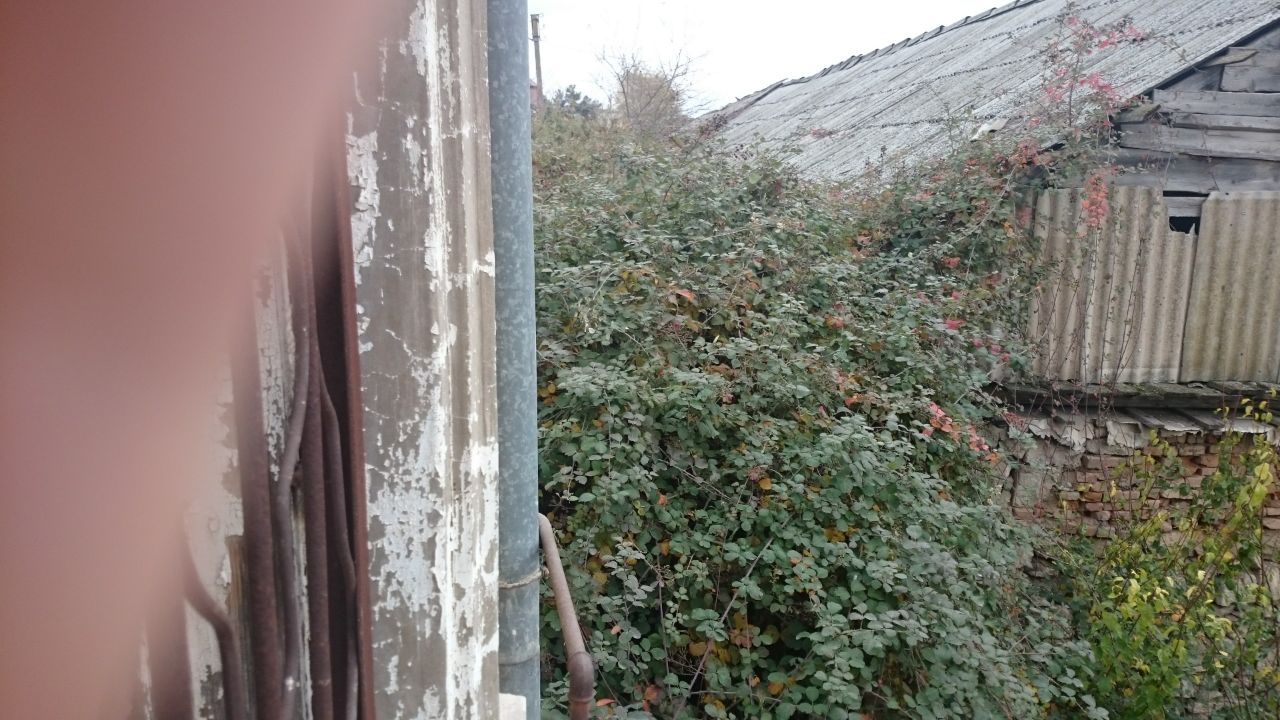 Жительница Сабирабада пожаловалась на коррупцию и беспредел в своем районе