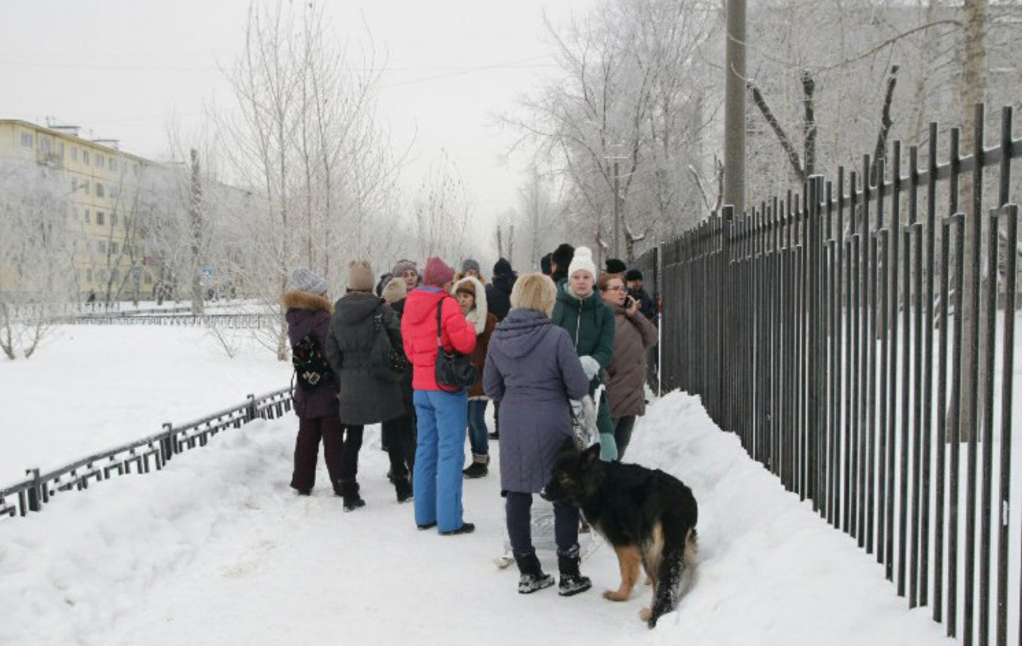 Резня в школе в России, 11 раненых