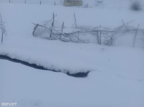 Снегопад обесточил село в Лерике