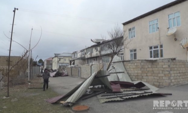 Огуз стонет под натиском ветра