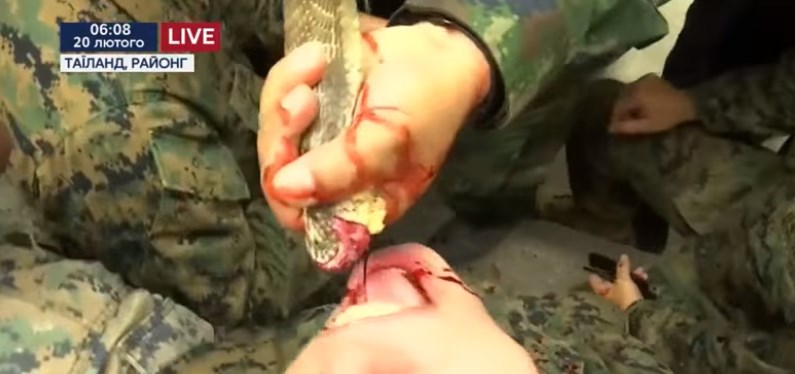 Вояки США пьют кровь кобр, утоляя жажду