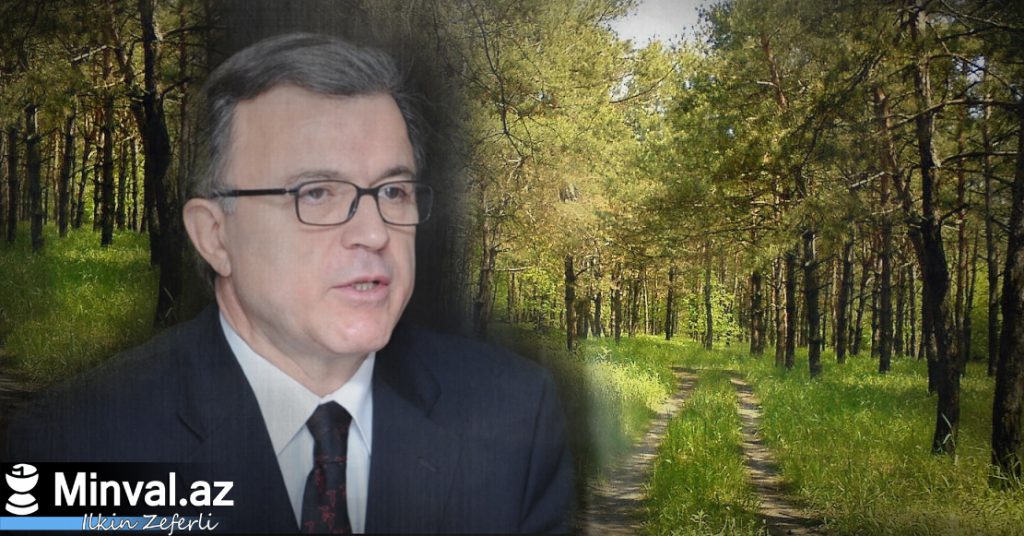 Уволенный министр занялся бизнесом