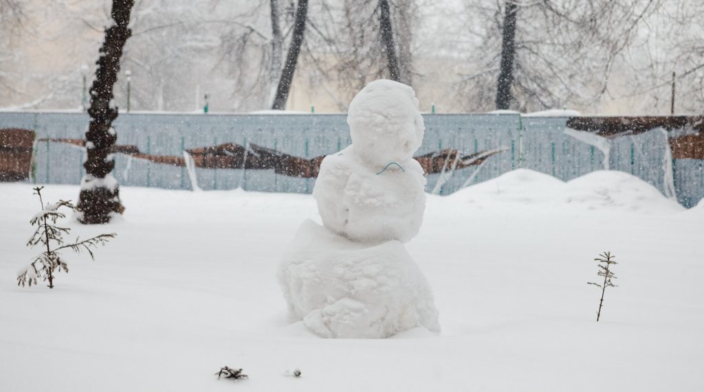 Снегопад века накрыл Москву