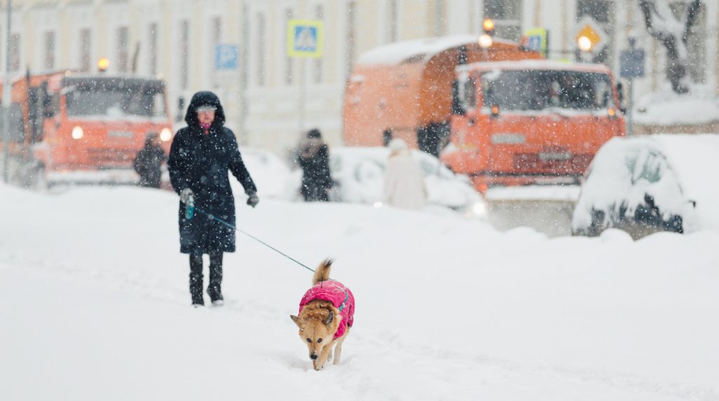 Снегопад века накрыл Москву