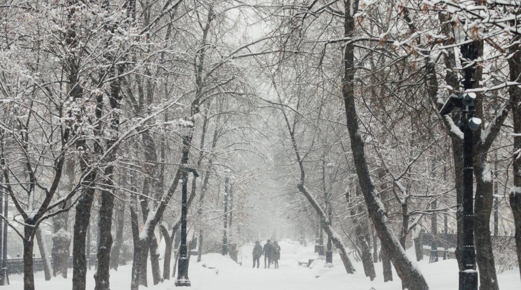 Снегопад века накрыл Москву