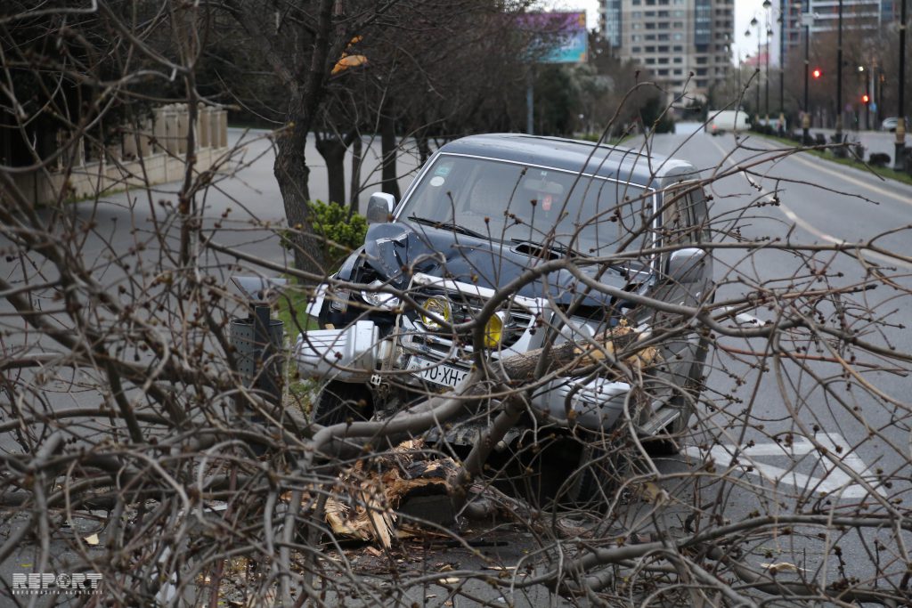 В Баку из-за сильного ветра автомобиль врезался в дерево
