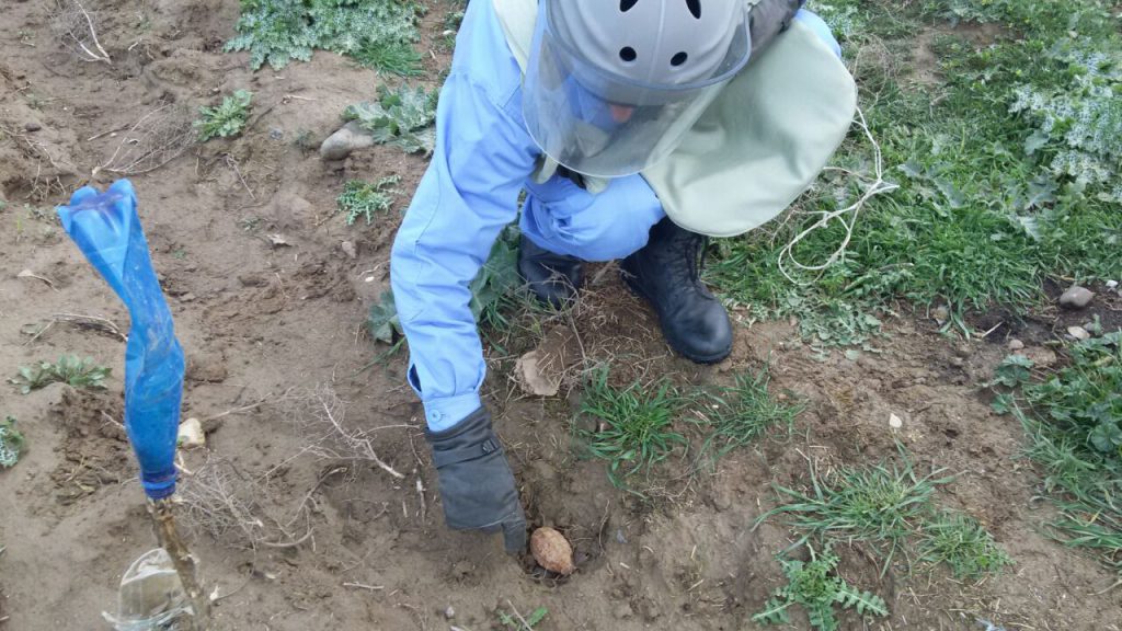 В Горанбое на краю дороги обнаружена ручная граната