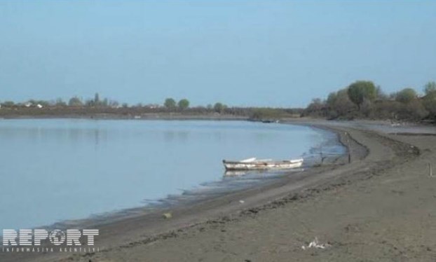 Кура мелеет