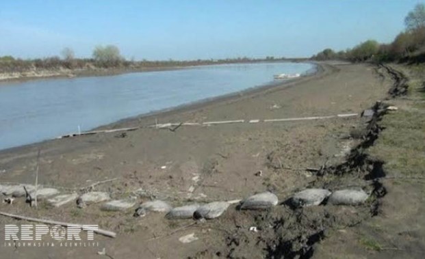 Кура мелеет