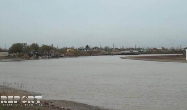 Кура мелеет
