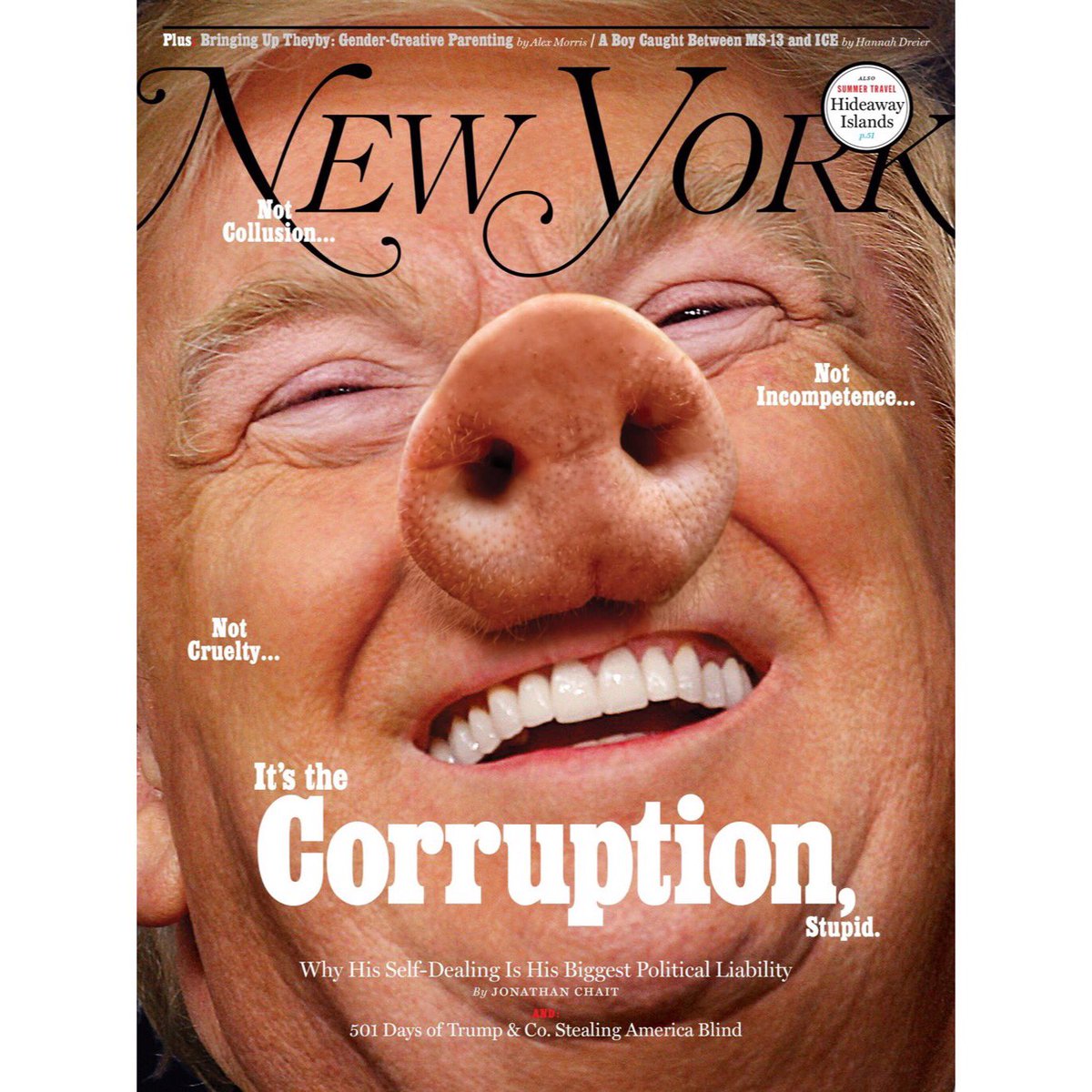 Журналисты сделали из Трампа свинью