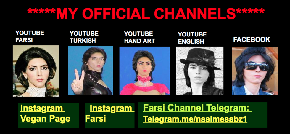 YouTube удалил все каналы Насим Агдам