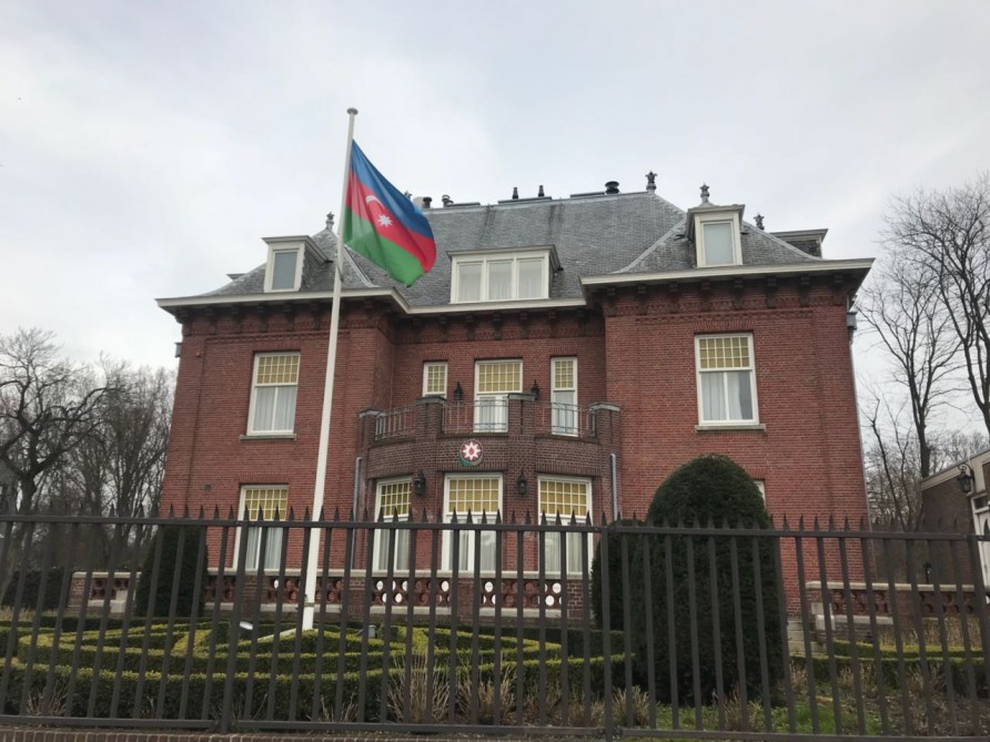 Азербайджанцы провели в Гааге акцию солидарности