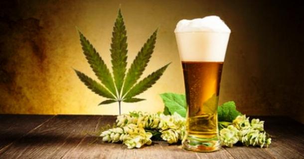 Constellation Brands вложит 4 миллиарда долларов в канабис