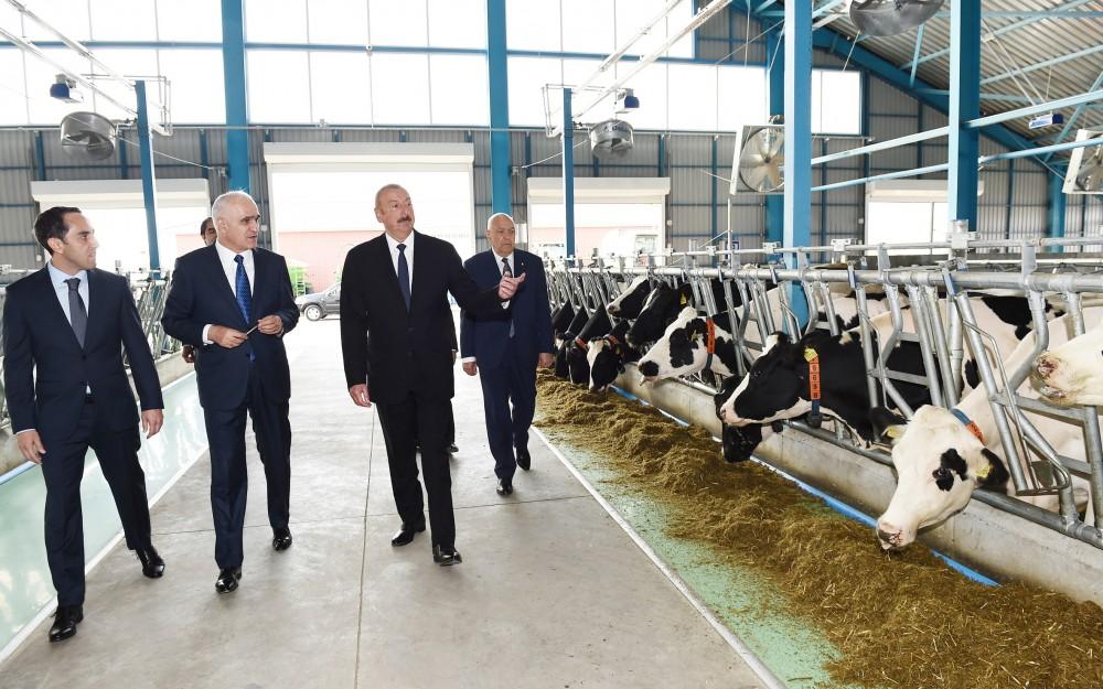 Ильхам Алиев принял участие в открытии ряда объектов