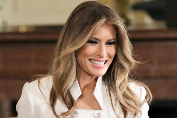 Супруга Трампа высказалась о подозрительных посылках