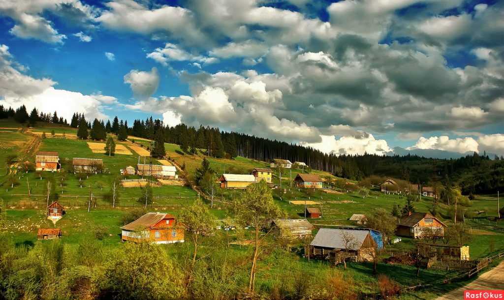 В Украине признали, что могут потерять Закарпатье