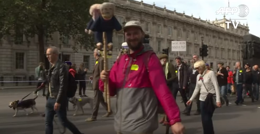 В Лондоне владельцы собак с питомцами протестовали против Brexit