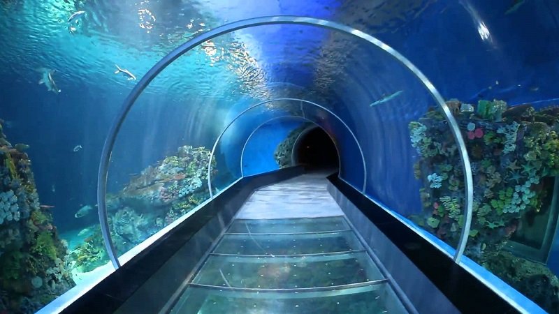 В Китае открыли самый глубокий в стране подводный тоннель метро