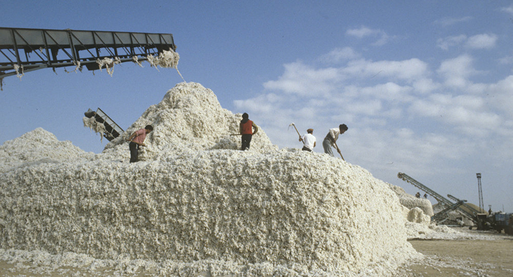 Азербайджанский хлопок не пустили в Дагестан