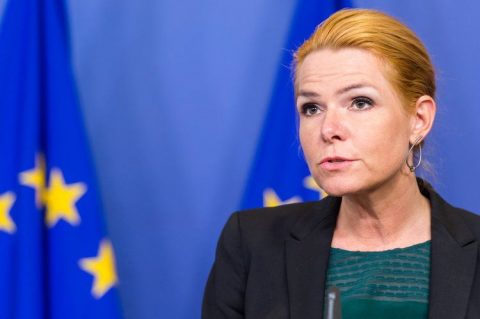 Правительство Дании поселит мигрантов на острове, где кремировали животных
