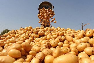 Россельхознадзор вновь запретил использование азербайджанской продукции 