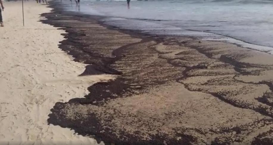 Райские пляжи курорта Гоа залило мазутом