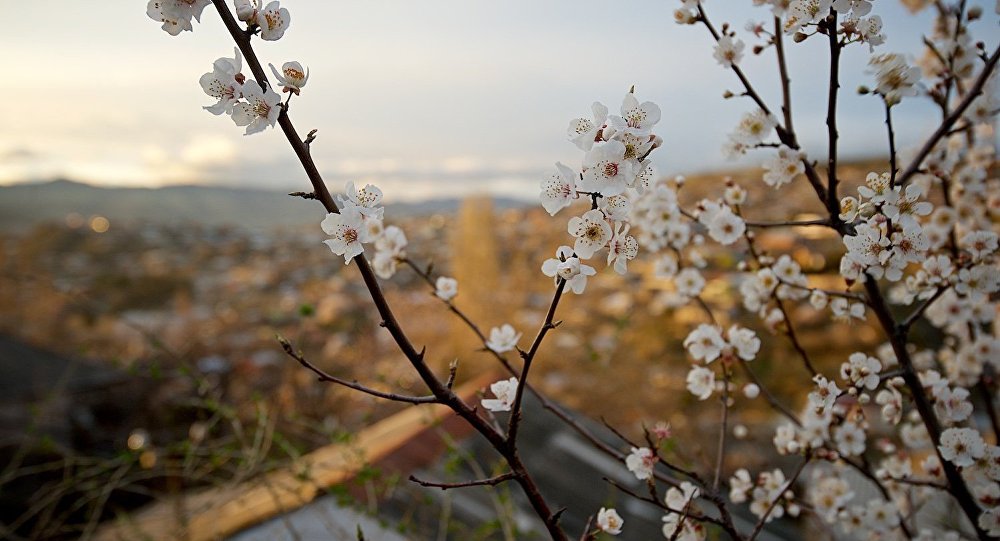 Завтра в Баку будет до +18 °C