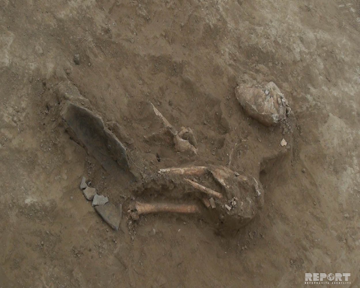 В Газахе обнаружены останки древних людей, убитых из лука