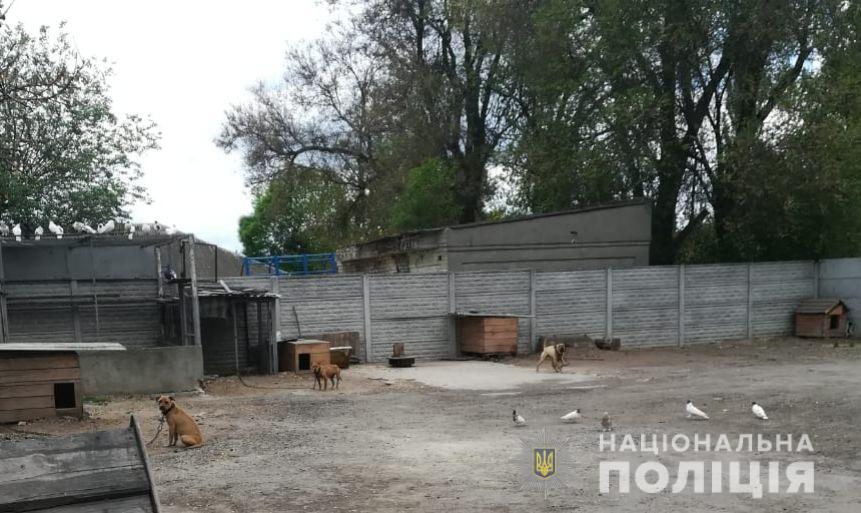 В Украине в пекарне обнаружили азербайджанцев-нелегалов