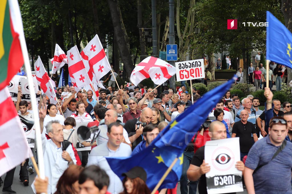 В Тбилиси завершилась акция протеста (обновлено)