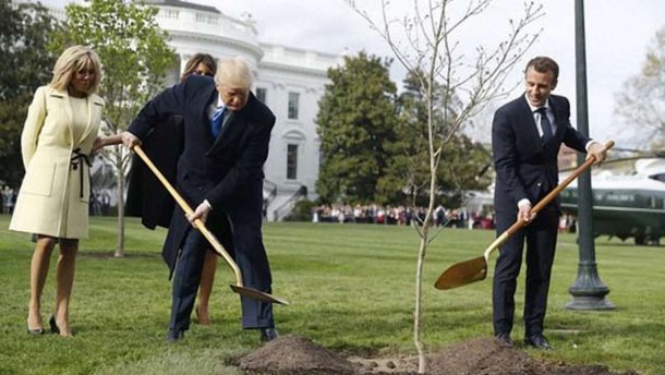 Макрон отправит Трампу новый дуб