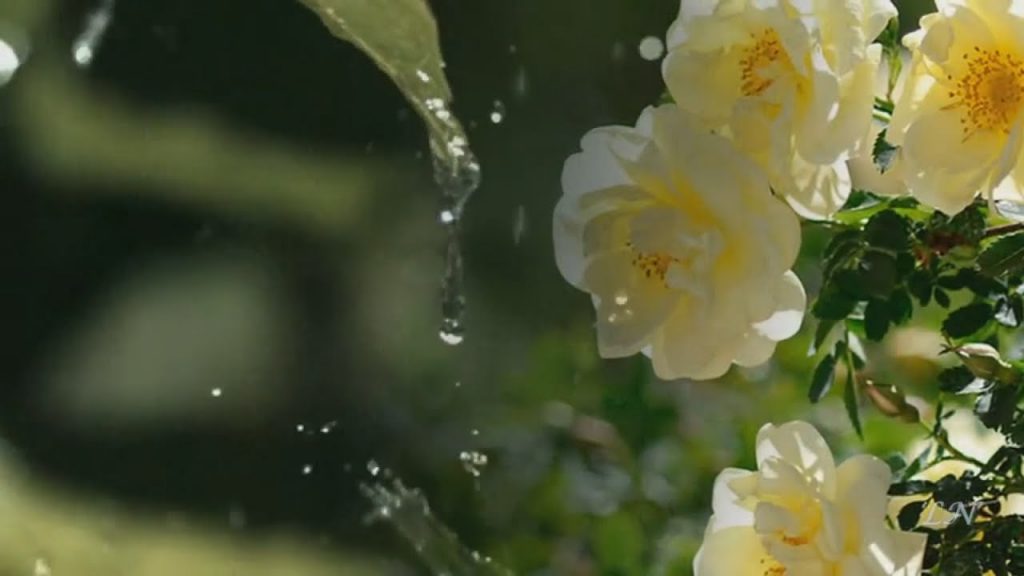 Завтра в Баку возможны дожди