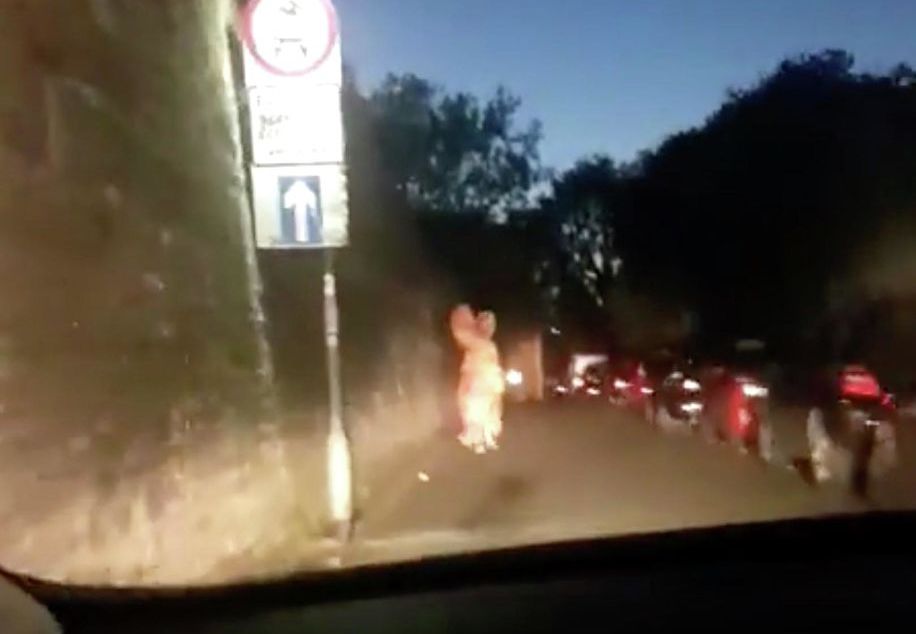 Британские полицейские устроили погоню за "динозавром"